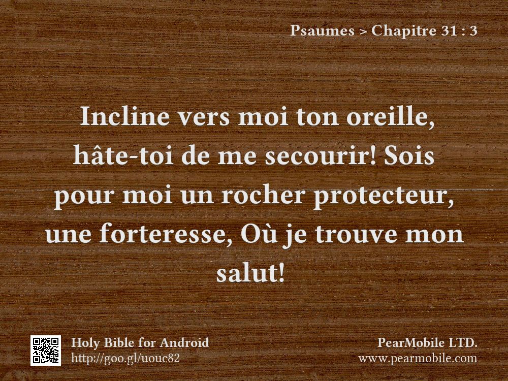 Psaumes, Chapitre 31:3